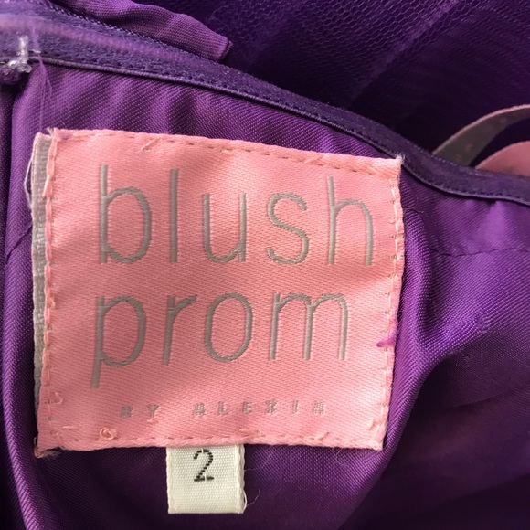 BLUSH PROM💐 LONG DRESS💐CORSET BACK💐 Prom dress - Picture 6 of 6